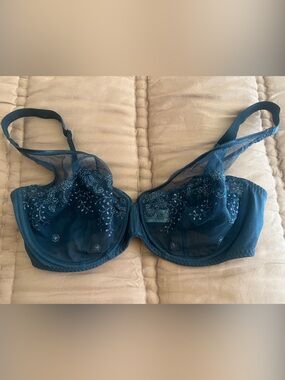 Simone Perele Sheer plunge  Embroidered Underwire Bra in Teal